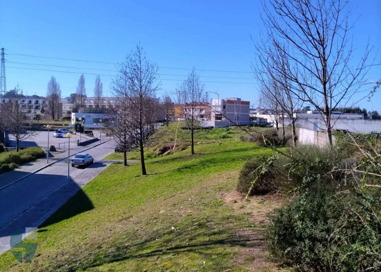 WhatsApp Image 2023-06-19 at 11.02.44 - Copia